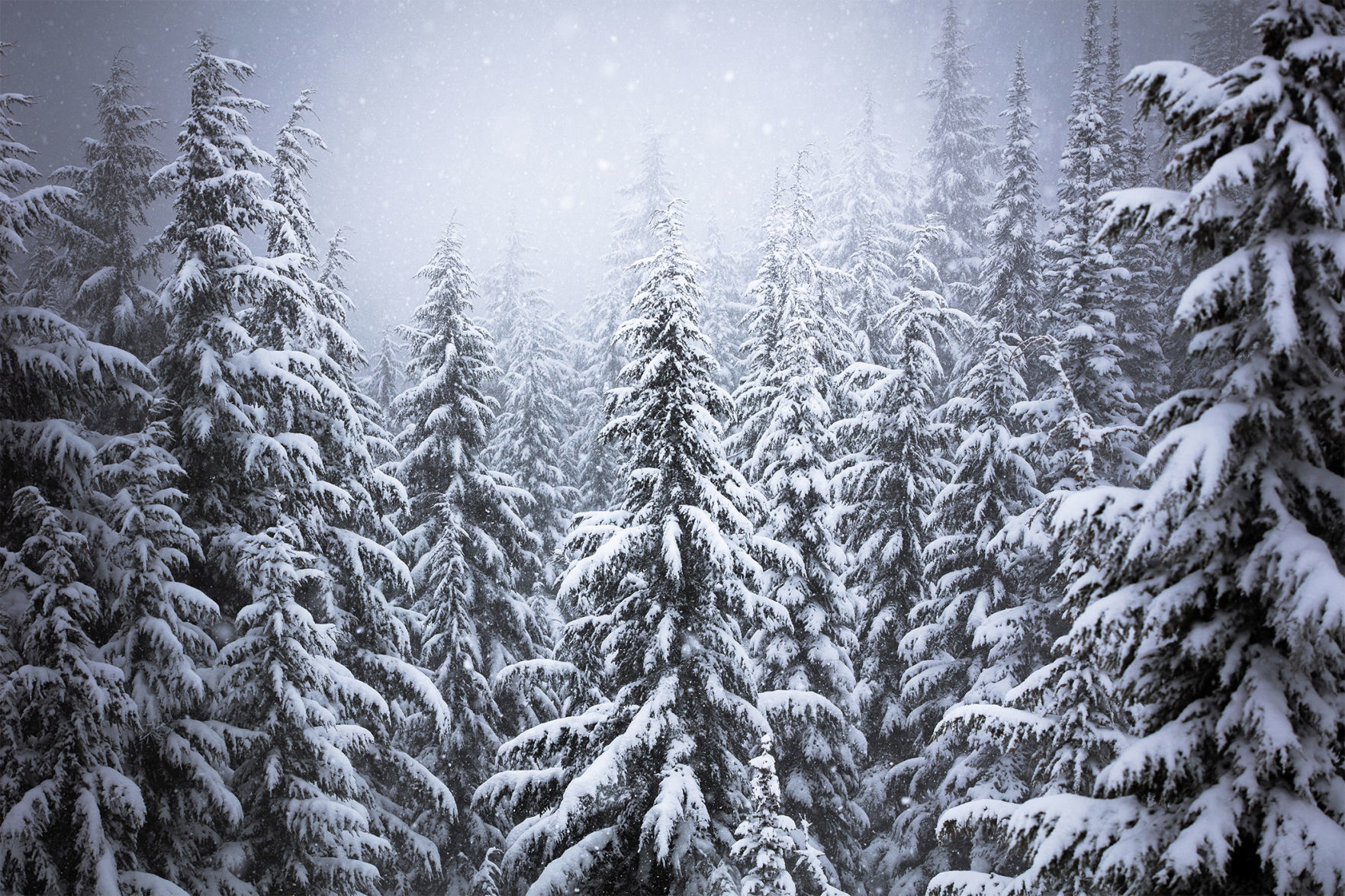 031719 state line winter4.jpg
